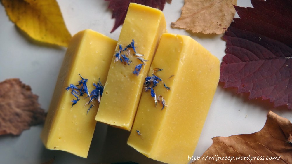 Pumpkin Soap