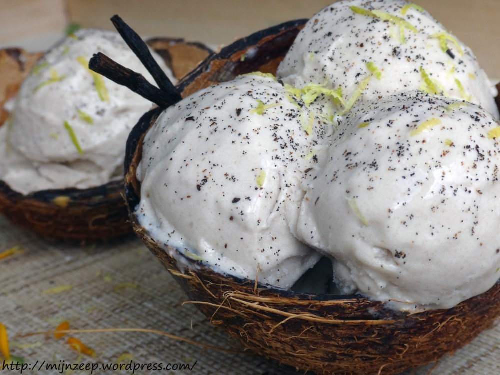 Vegan tofu-coconut milk ice cream